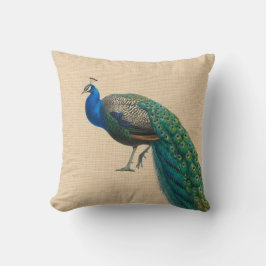 Pfau-Kissen buntes von zusammenpassendem Kissen