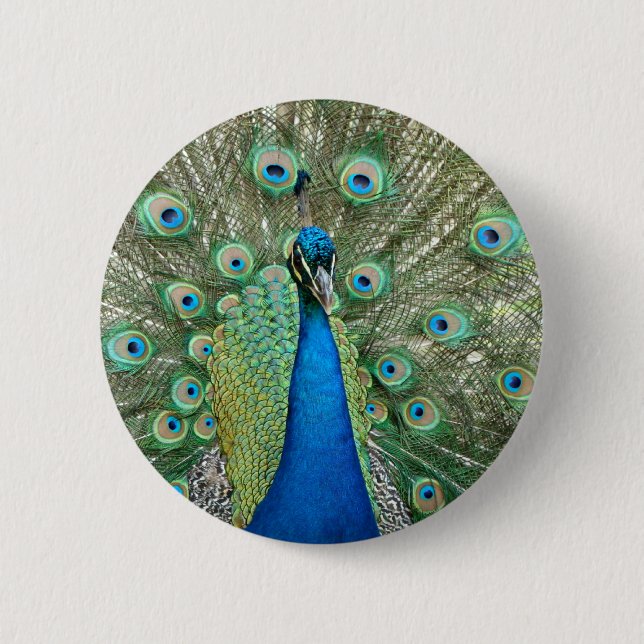 Pfau-Knopf Button (Vorderseite)