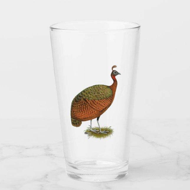 Pfau: Kongo Peahen Glas (Vorderseite)