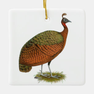 Pfau: Kongo Peahen Keramikornament