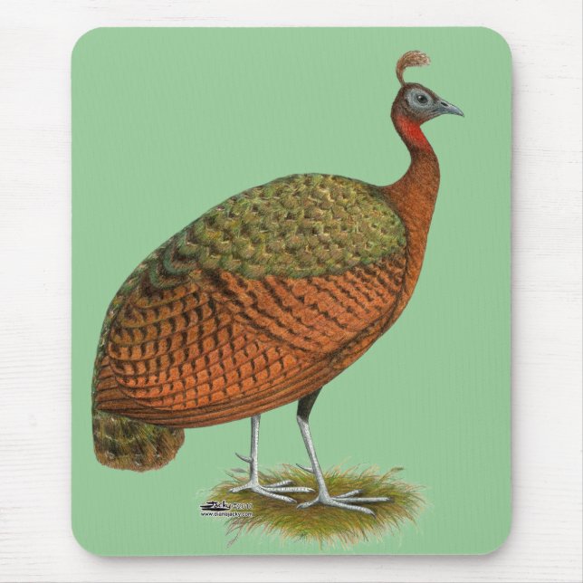 Pfau: Kongo Peahen Mousepad (Vorne)