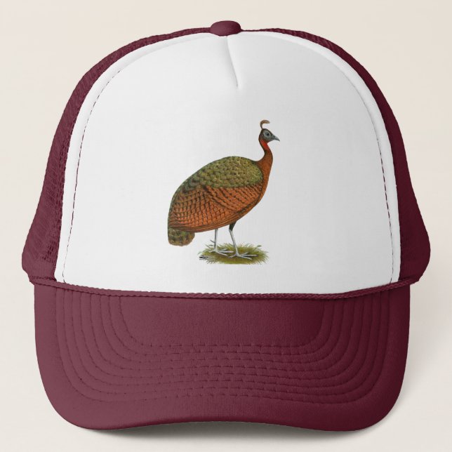 Pfau: Kongo Peahen Truckerkappe (Vorderseite)