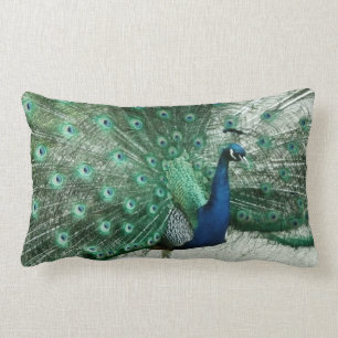 Pfau Lendenkissen