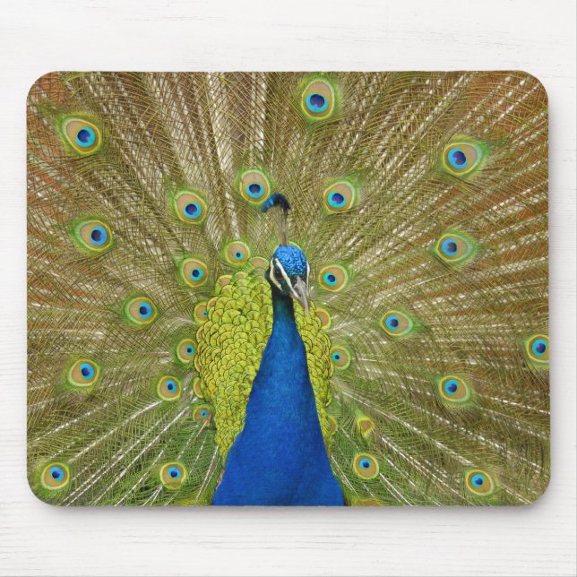 Pfau-Mausunterlage Mousepad (Vorne)