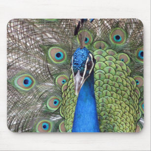Pfau-Mausunterlage Mousepad