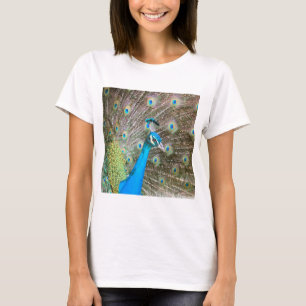 Pfau mit Feathers Out - Männlicher Vogel - Foto T-Shirt
