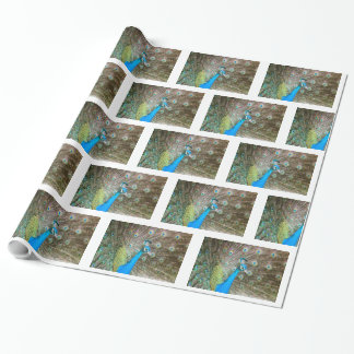 Pfau mit Federn Fanned - Wildlife Bird Foto Geschenkpapier