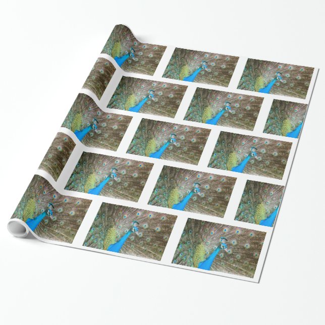 Pfau mit Federn Fanned - Wildlife Bird Foto Geschenkpapier (Ungerollt)