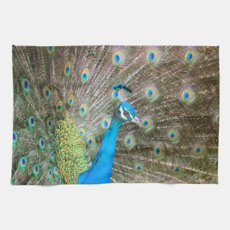 Pfau mit Federn Fanned - Wildlife Bird Foto Geschirrtuch