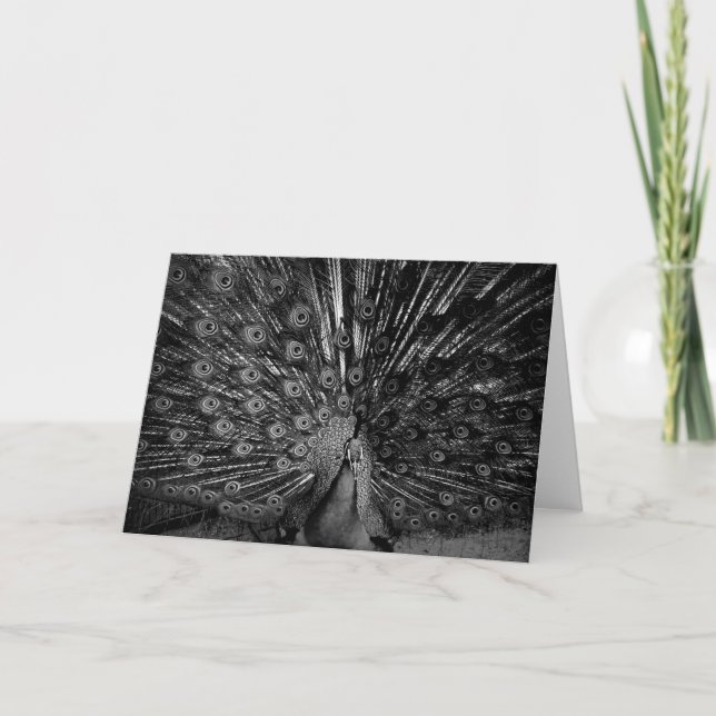 Pfau mit Schwanz-Spread Karte (Vorderseite)