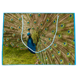 Pfau mit seiner schönen Feather-Geschenktasche Große Geschenktüte