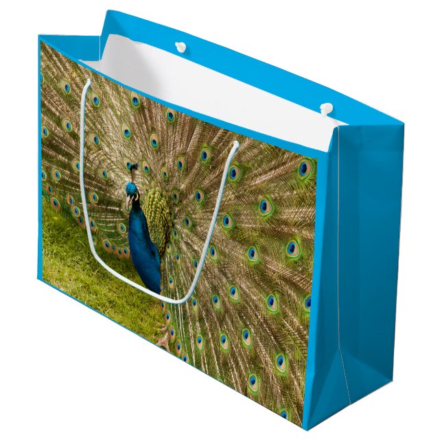 Pfau mit seiner schönen Feather-Geschenktasche Große Geschenktüte (Vorderseite Schrägansicht)