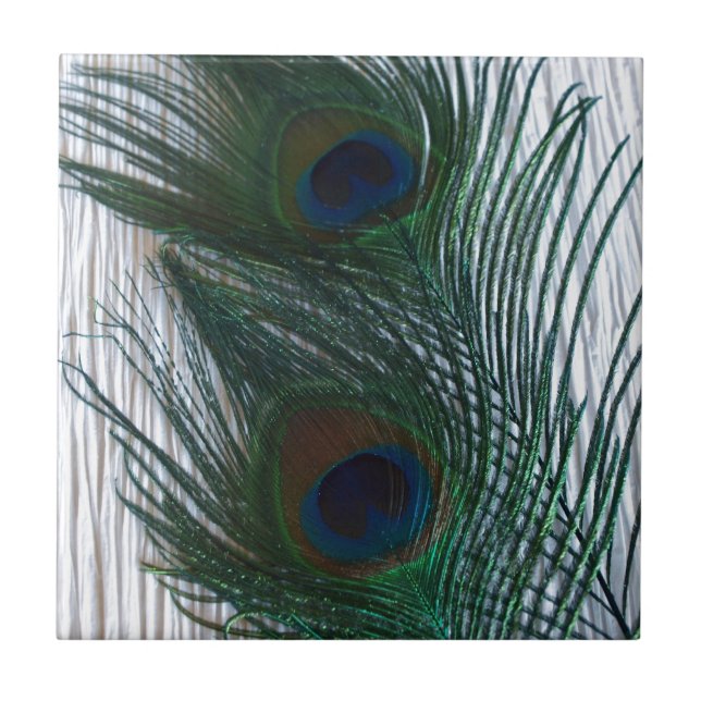 Pfau mit Weiß Fliese (Vorderseite)