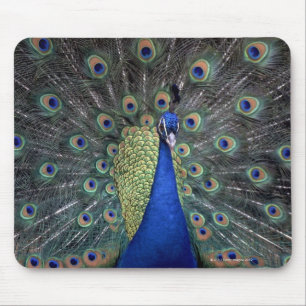 Pfau Mousepad