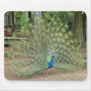 Pfau Mousepad