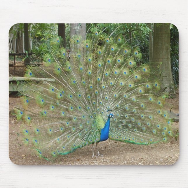 Pfau Mousepad (Vorne)