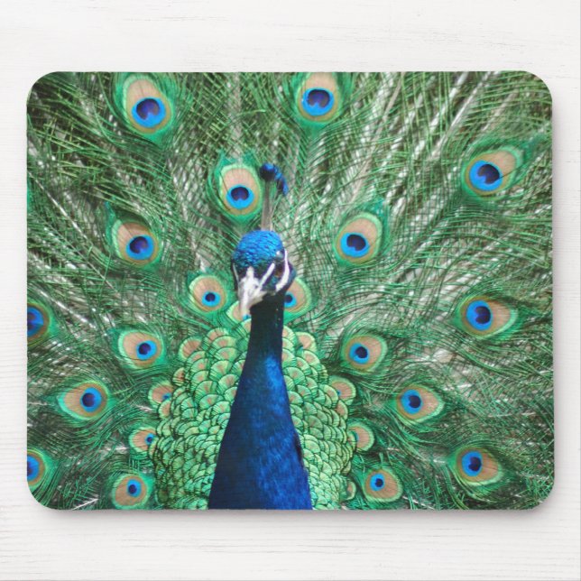 Pfau Mousepad (Vorne)