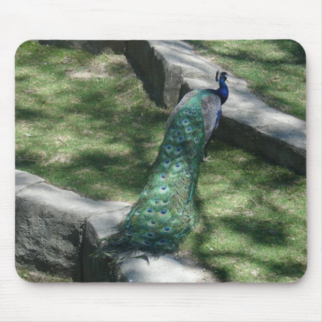 Pfau Mousepad (Vorne)