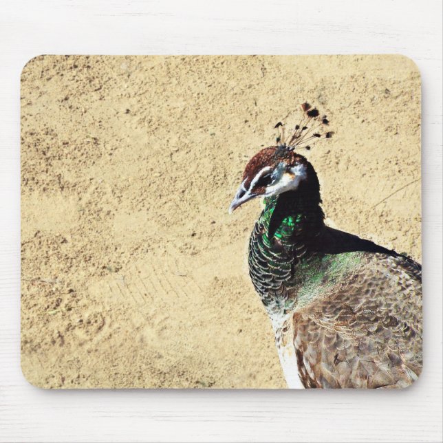 Pfau Mousepad (Vorne)