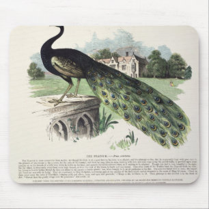 Pfau Mousepad