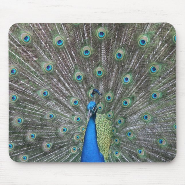 Pfau Mousepad (Vorne)
