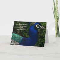 Pfau Nah bis Geburtstag