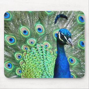 PFAU-PFAU-FOTO MOUSEPAD