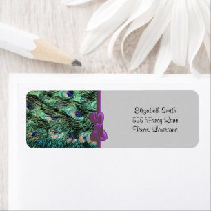 Pfau, Pfau, Pfau Schwanz, Federn