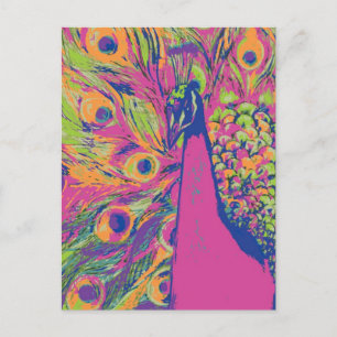 Pfau Pop Postkarte
