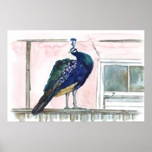Pfau Porch Haus Fenster Rosa Aquarell Poster