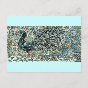 Pfau Postkarte