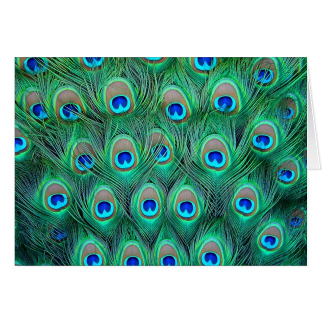Pfau-Pracht (Vorderseite (Horizontal))