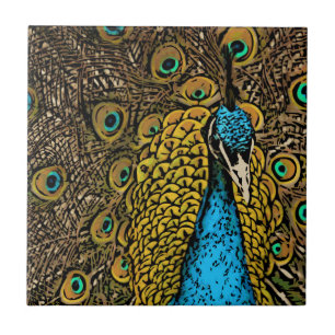 Pfau-Pracht-Illustration Fliese