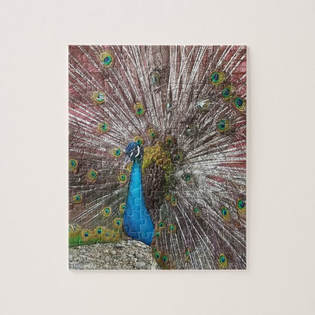 Pfau  puzzle (Vertikal)