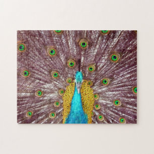 Pfau Puzzle