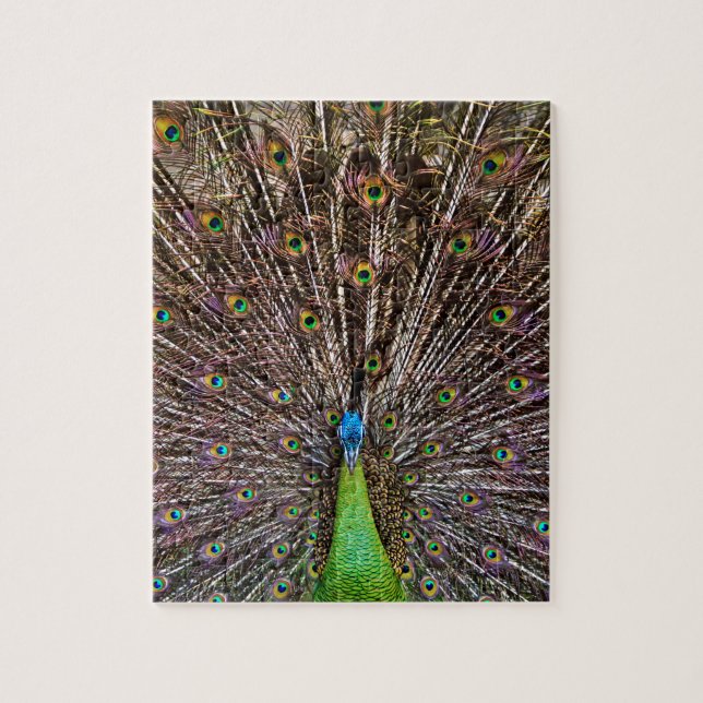 Pfau Puzzle (Vertikal)