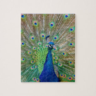 Pfau-Puzzlespiel Puzzle
