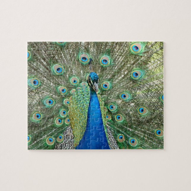 Pfau-Puzzlespiel Puzzle (Horizontal)