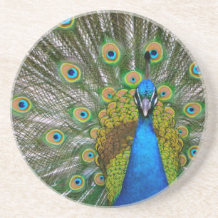 Pfau Sandstein Untersetzer