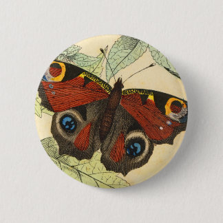 Pfau-Schmetterling Button