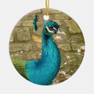 Pfau Schöne Naturfotografie Keramik Ornament
