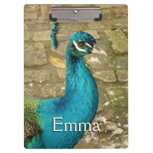Pfau Schöne Naturfotografie Klemmbrett