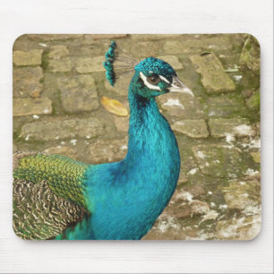 Pfau Schöne Naturfotografie Mousepad