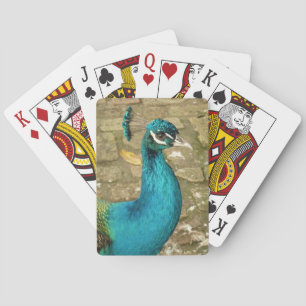 Pfau Schöne Naturfotografie Spielkarten