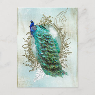 Pfau schöne Türkis Vintage Shabby Vogel Postkarte