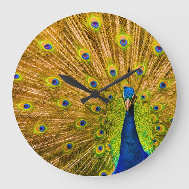 Pfau, Silberfälle, Kauai, Hawaii Große Wanduhr (Vorderseite)