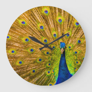 Pfau, Silver Falls, Kauai, Hawaii Große Wanduhr