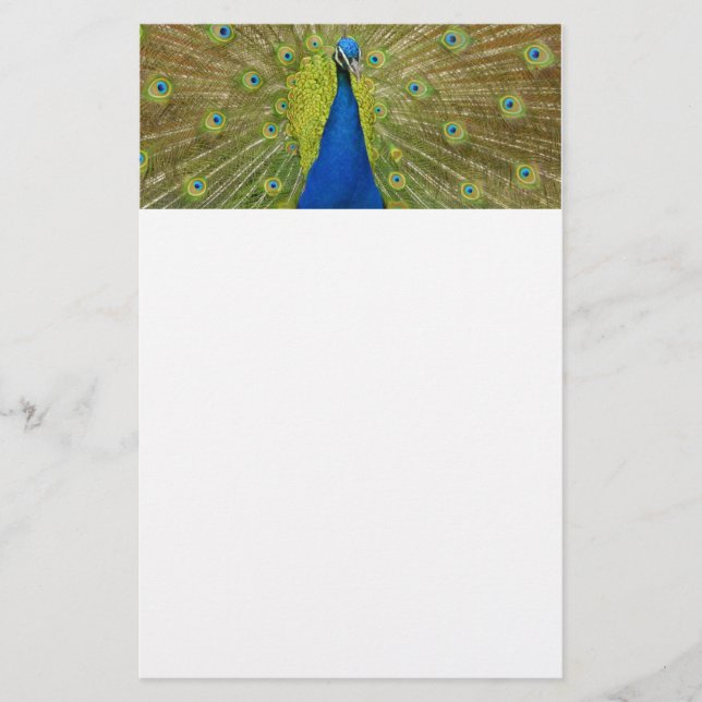 Pfau stationär briefpapier (Vorderseite)