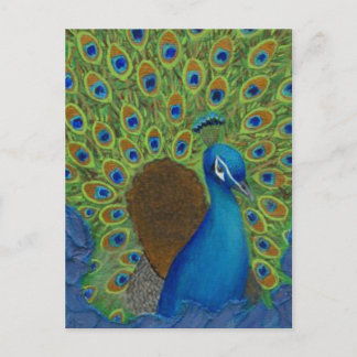 Pfau, Strut deine Federn Postkarte