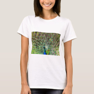 Pfau T-Shirt
